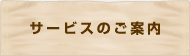 �T�[�r�X�̂��ē�